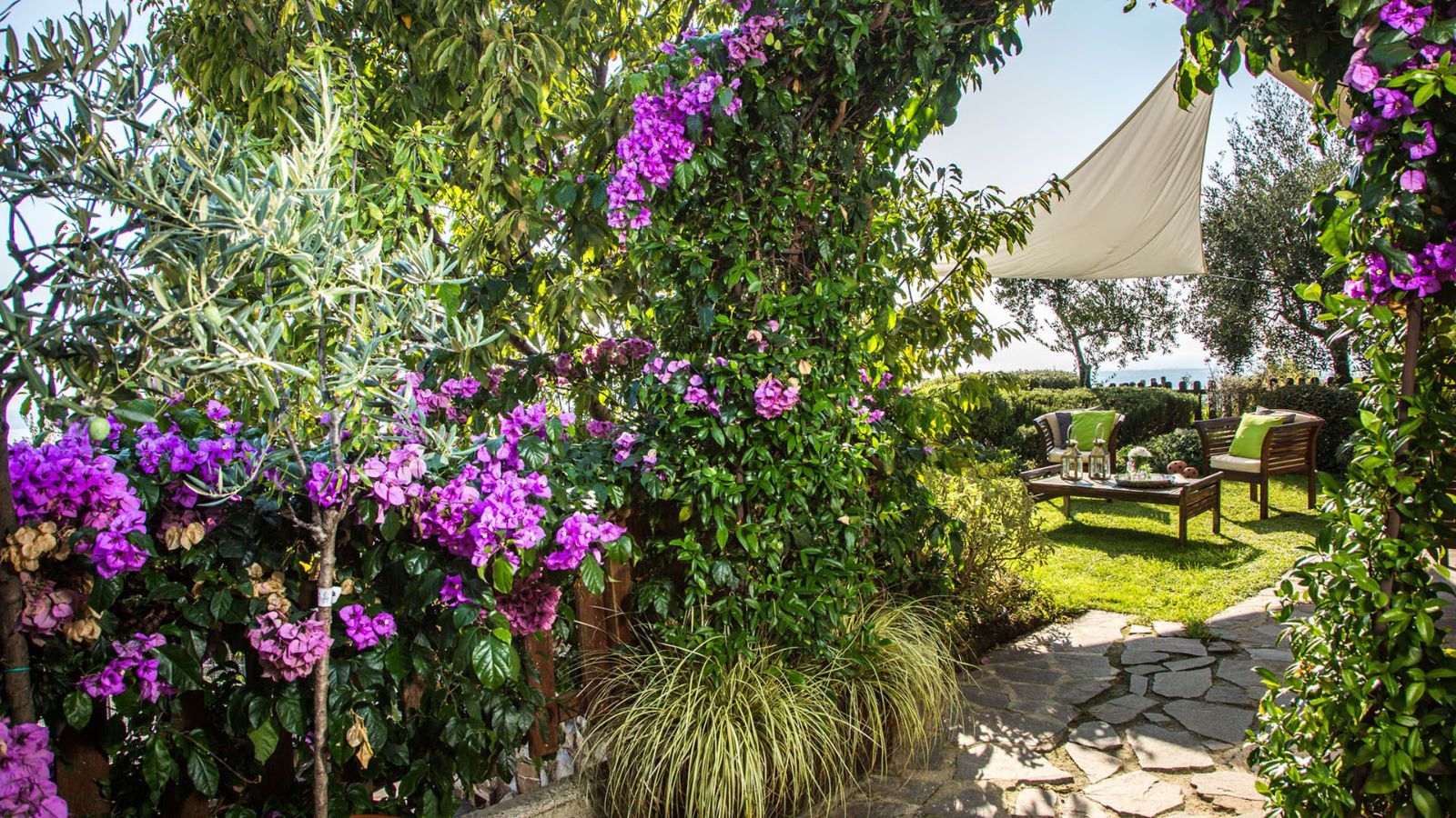 Giardino della villa Il ciliegio sul lago